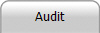 Audit